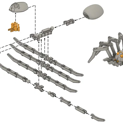 Articulated Spider (Nhện khớp nối)