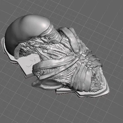 Mô hình trang trí tường Xenomorph - Đỉnh cao cho fan Alien