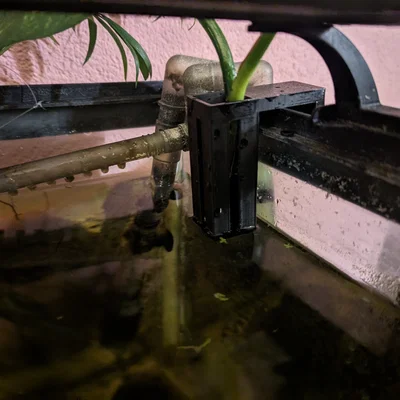 Chậu trồng Pothos treo hồ cá do ChatGPT (AI) tạo