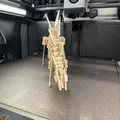 Thẻ Kit Card Xếp Hình 3D Stegosaurus - Thumbnail 6