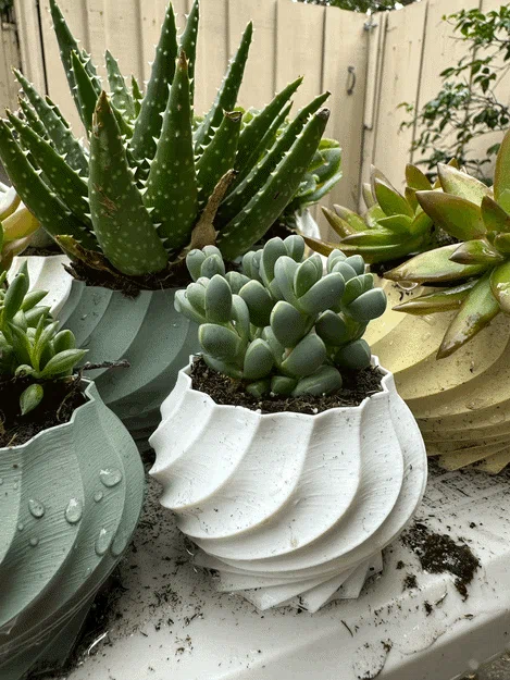 Bộ sưu tập chậu cây 3D hình xoắn ốc (Twisted Plant Pot) cực đẹp - Image 1