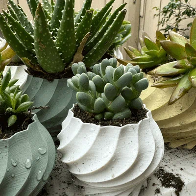 Bộ sưu tập chậu cây 3D hình xoắn ốc (Twisted Plant Pot) cực đẹp