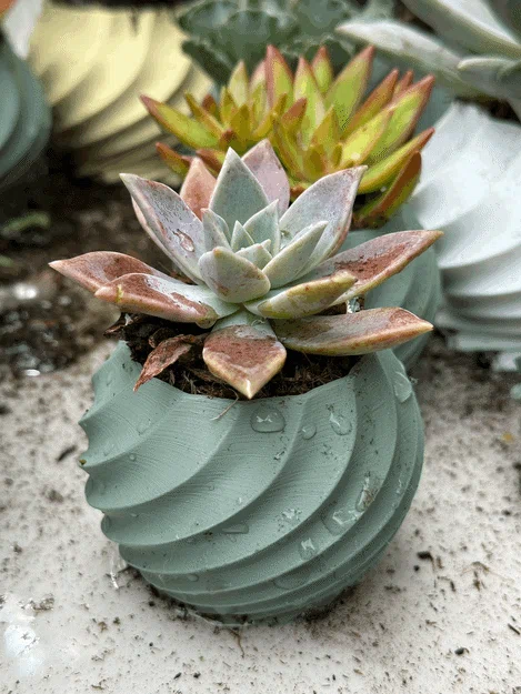 Bộ sưu tập chậu cây 3D hình xoắn ốc (Twisted Plant Pot) cực đẹp - Image 2
