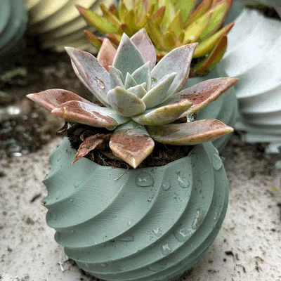 Bộ sưu tập chậu cây 3D hình xoắn ốc (Twisted Plant Pot) cực đẹp