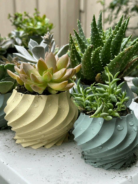 Bộ sưu tập chậu cây 3D hình xoắn ốc (Twisted Plant Pot) cực đẹp - Image 3