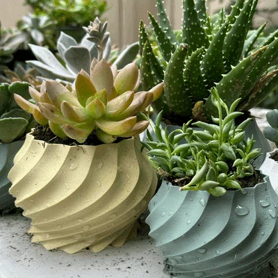 Bộ sưu tập chậu cây 3D hình xoắn ốc (Twisted Plant Pot) cực đẹp