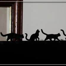 Mèo Trên Màn Hình (Cats On The Monitor)