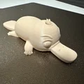 Mô hình thú mỏ vịt Puffin đáng yêu (Platypus Puffin) - In 3D - Thumbnail 5