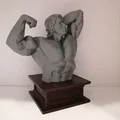 Mô hình 3D tượng bán thân Arnold Schwarzenegger vạm vỡ - Thumbnail 1