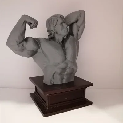 Mô hình 3D tượng bán thân Arnold Schwarzenegger vạm vỡ