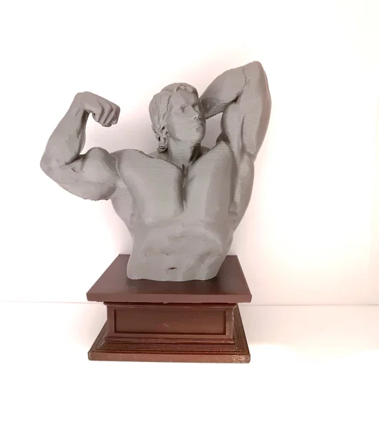 Mô hình 3D tượng bán thân Arnold Schwarzenegger vạm vỡ - Image 2