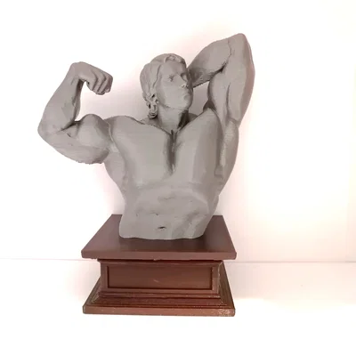 Mô hình 3D tượng bán thân Arnold Schwarzenegger vạm vỡ