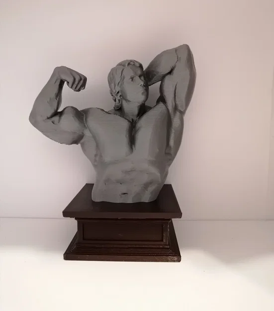 Mô hình 3D tượng bán thân Arnold Schwarzenegger vạm vỡ - Image 4