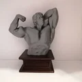 Mô hình 3D tượng bán thân Arnold Schwarzenegger vạm vỡ - Thumbnail 4