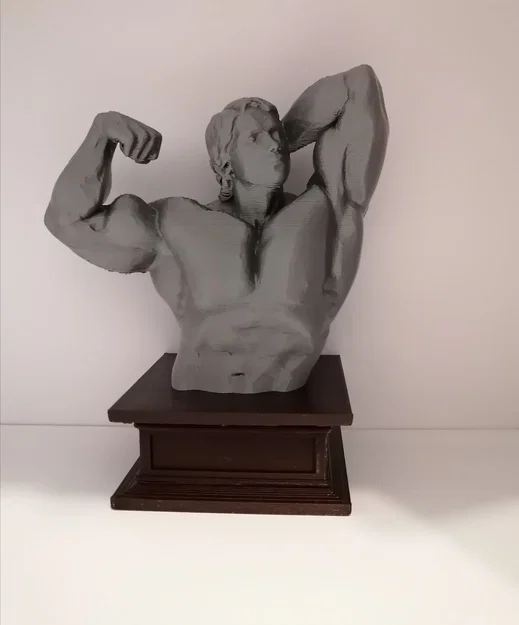 Mô hình 3D tượng bán thân Arnold Schwarzenegger vạm vỡ - Image 5