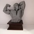 Mô hình 3D tượng bán thân Arnold Schwarzenegger vạm vỡ - Thumbnail 5