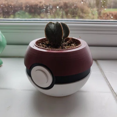 Chậu Cây Pokeball (Pokeball Plant Pot)