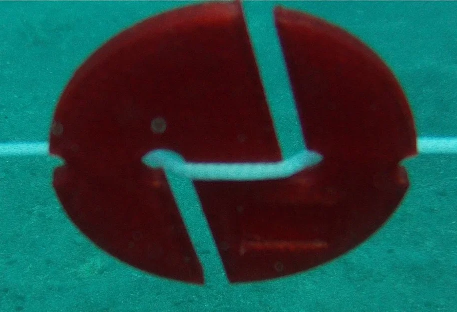 Cave Diving Cookies - Image 6