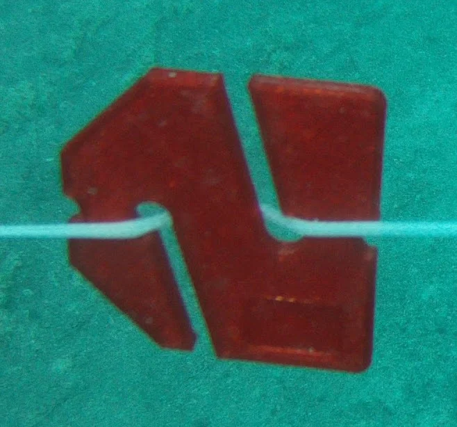 Cave Diving Cookies - Image 17