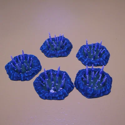 Mô hình Bẫy Gai 3D cho Gloomhaven và Frosthaven