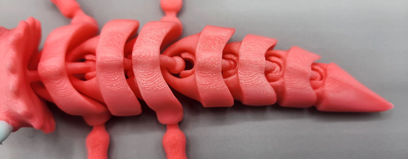 FLEXI FIDGET DESKTOP GUARDIAN - RẮN CUTE (CUTE SNAKE) - Image 4