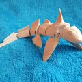 Cá Ghostshark Vực Sâu khớp nối (Articulated Abyssal Ghostshark) Print-in-Place - Thumbnail 1