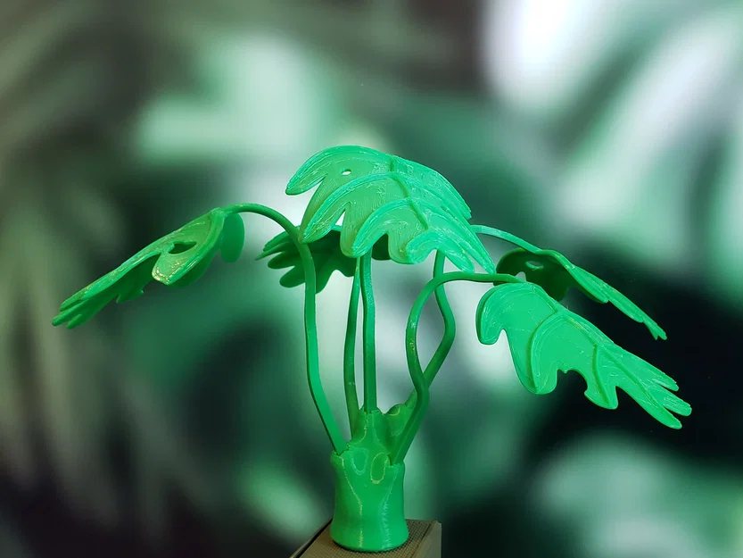 Cây Monstera Uốn Tạo Hình (Moldable Monstera Plant) - Kit In 3D - Image 2