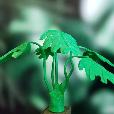 Cây Monstera Uốn Tạo Hình (Moldable Monstera Plant) - Kit In 3D