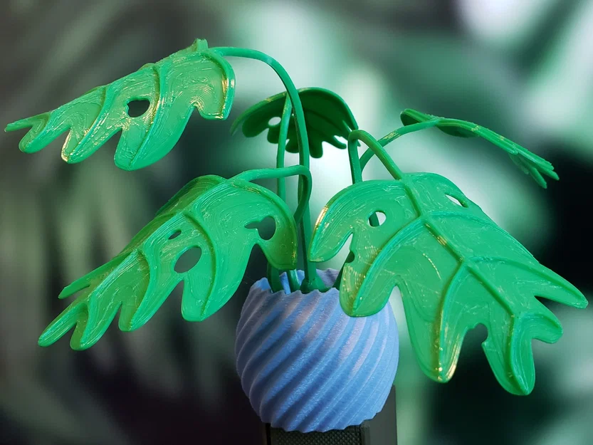 Cây Monstera Uốn Tạo Hình (Moldable Monstera Plant) - Kit In 3D - Image 3
