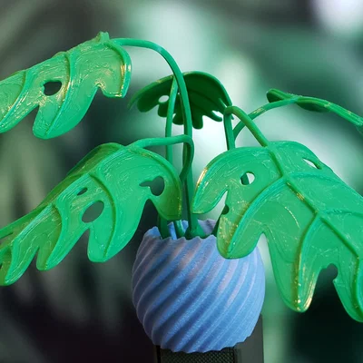 Cây Monstera Uốn Tạo Hình (Moldable Monstera Plant) - Kit In 3D