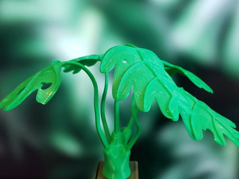 Cây Monstera Uốn Tạo Hình (Moldable Monstera Plant) - Kit In 3D - Image 4