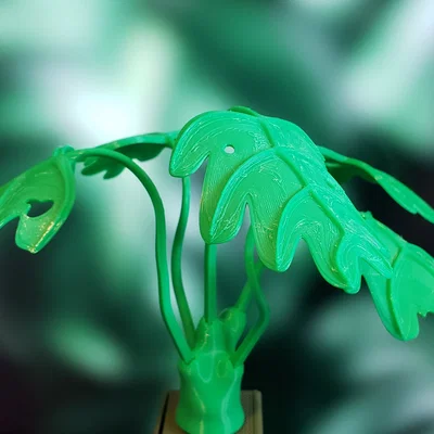 Cây Monstera Uốn Tạo Hình (Moldable Monstera Plant) - Kit In 3D