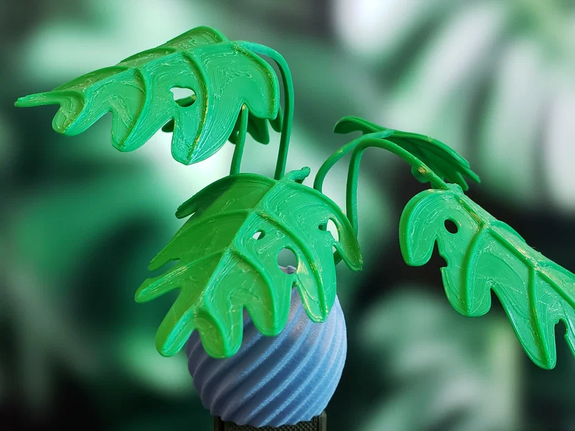 Cây Monstera Uốn Tạo Hình (Moldable Monstera Plant) - Kit In 3D - Image 5
