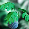 Cây Monstera Uốn Tạo Hình (Moldable Monstera Plant) - Kit In 3D - Thumbnail 5