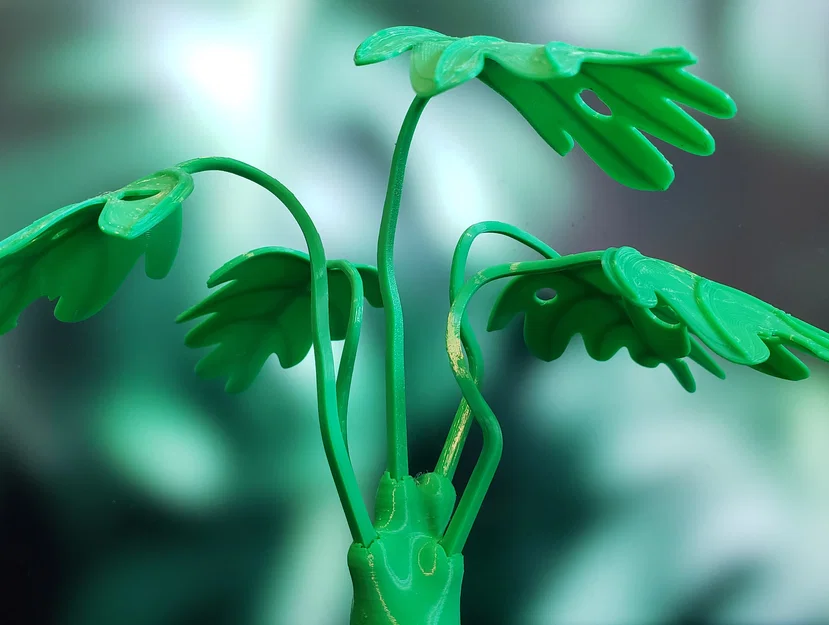 Cây Monstera Uốn Tạo Hình (Moldable Monstera Plant) - Kit In 3D - Image 6