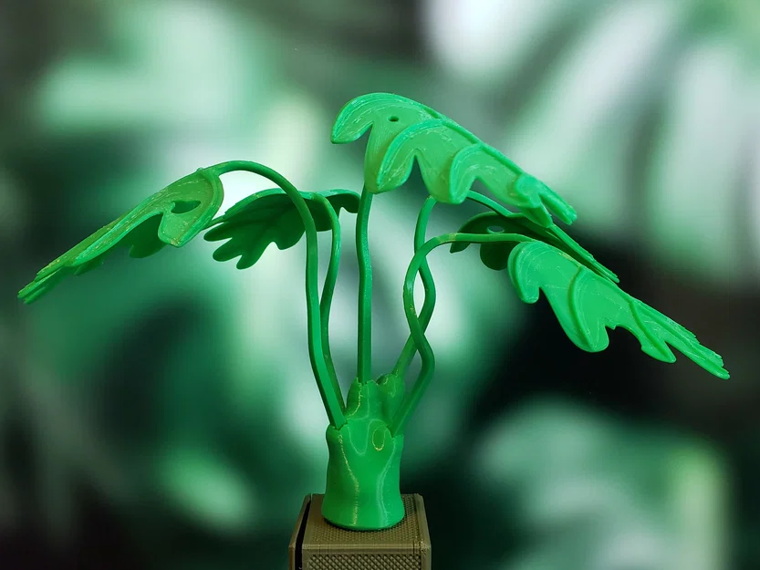 Cây Monstera Uốn Tạo Hình (Moldable Monstera Plant) - Kit In 3D - Image 7