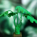 Cây Monstera Uốn Tạo Hình (Moldable Monstera Plant) - Kit In 3D - Thumbnail 7