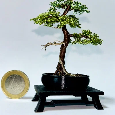 Chậu bonsai (Bonsai pot)