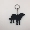 Móc khóa hình chú chó Golden Retriever in 3D đáng yêu - Thumbnail 4