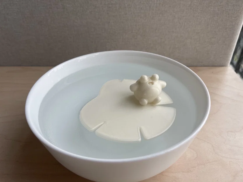 Ếch Nổi và Lá Súng Nổi (Floating Frog and Lilypad!) - Image 2
