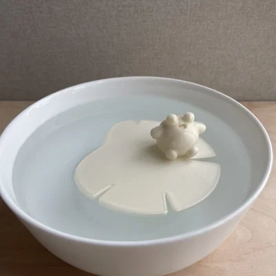 Ếch Nổi và Lá Súng Nổi (Floating Frog and Lilypad!)