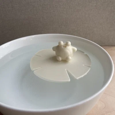 Ếch Nổi và Lá Súng Nổi (Floating Frog and Lilypad!)