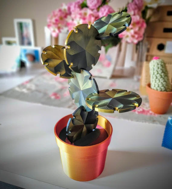 Cactus Coaster Plant – Bộ lót ly xương rồng - Image 1