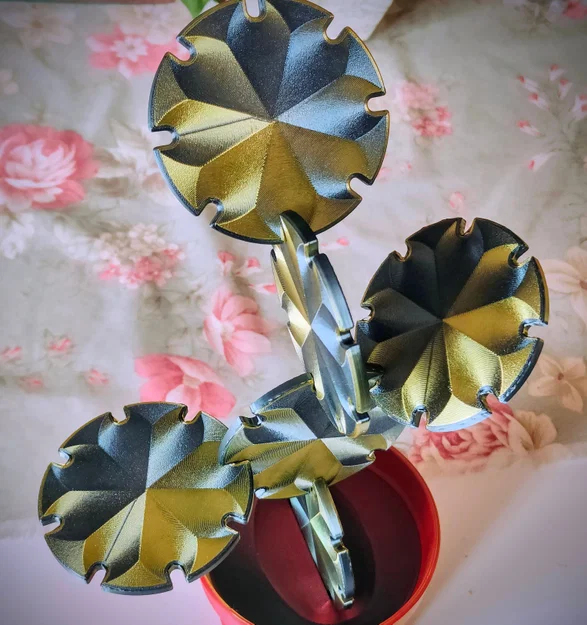 Cactus Coaster Plant – Bộ lót ly xương rồng - Image 2