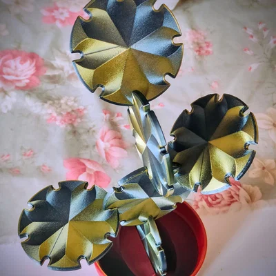 Cactus Coaster Plant – Bộ lót ly xương rồng