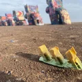 Cadillac Ranch – Amarillo, Texas, USA - Thumbnail 11