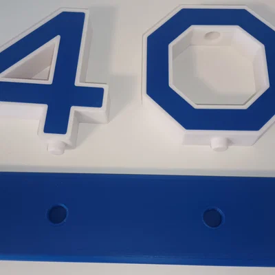 Sinh nhật 40 tuổi / Milestone Birthday