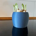 Chậu trồng cây mini 3D họa tiết xoắn hiện đại tinh tế - Thumbnail 2