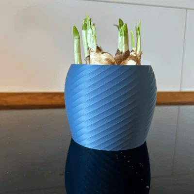 Chậu trồng cây mini 3D họa tiết xoắn hiện đại tinh tế