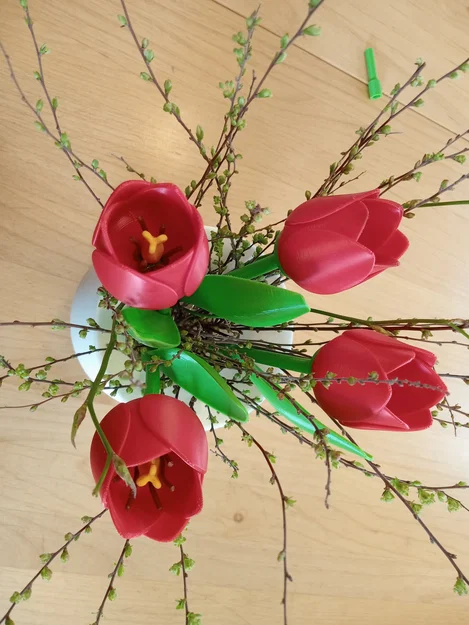 Phụ kiện cho tulip (Zubehör für Tulpe / add-on for the tulip) - Image 1